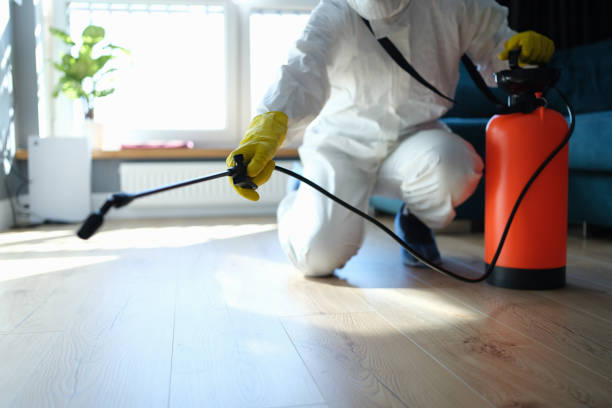Reliable Hoarding Cleanup contractor in Sumner, IL by Dulley Family Biohazard Services